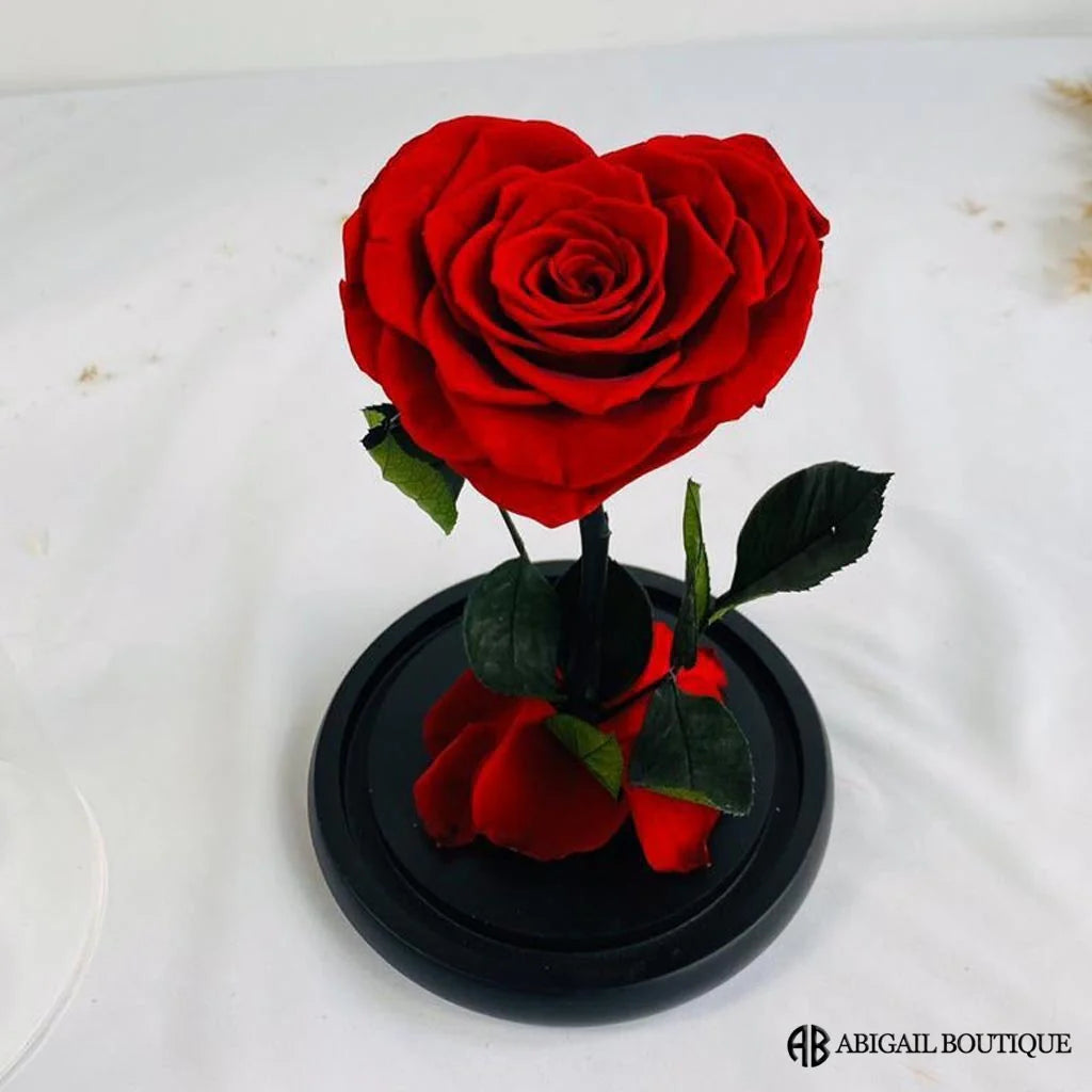 Heart Shape Preserved Rose in Glass Dome with Heart Love Necklace